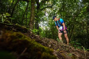 BIB: 
                            <button type="button" onclick="openModal(16008570)" class="btn btn-primary btn-sm float-right btn-popup" data-toggle="modal" data-target=".modal-high-quality">
                        <i class="fas fa-shopping-cart"></i> Add to Cart
                    </button>
                                            <button type="button" onclick="isThisMe(16008570, true)" class="btn btn-success btn-sm float-right btn-popup btn-isme hidden" data-toggle="tooltip" data-placement="bottom" title="นี่คือรูปของคุณใช่ไหม คลิกที่นี่เพื่อเอาเข้าอัลบั้ม">
                        <i class="fas fa-plus"></i> Add to album
                    </button>
                    <button type="button" onclick="isThisMe(16008570, false)" class="btn btn-warning btn-sm float-right btn-popup btn-isnotme hidden">
                        <i class="fas fa-ban"></i> Remove from album
                    </button>